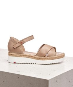 Chicsanctuary.shop47461b83a7 3