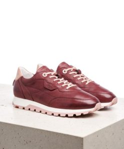 Chicsanctuary.shop76a77082c8 2