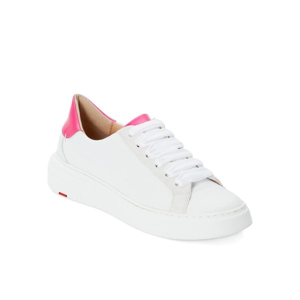 Chicsanctuary.shop8eba99c047 1