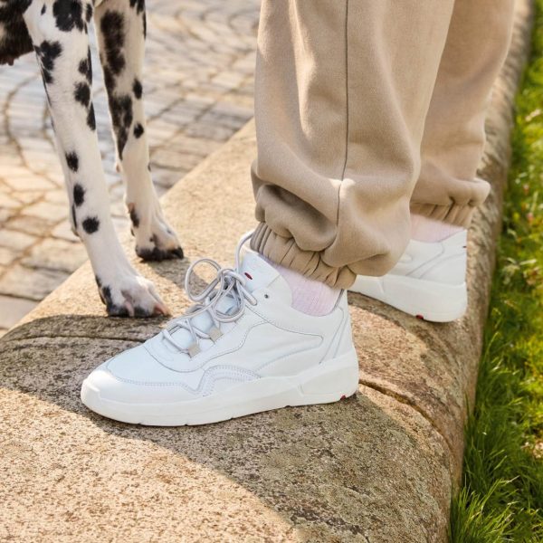 Chicsanctuary.shop9ff6666768 3